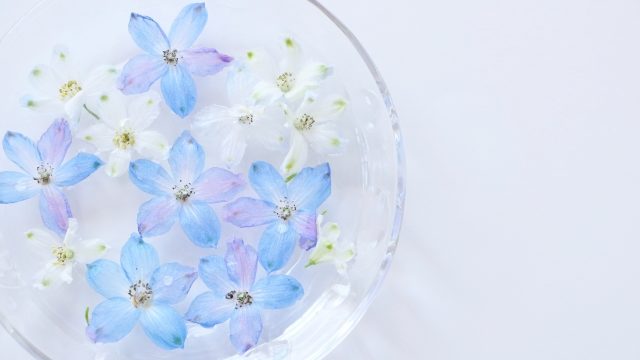 水に浮かべた青い花